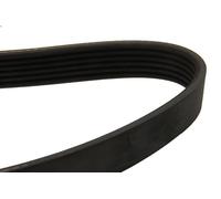 Correa trapecial poli V DAYCO 6PK1137 para AUDI A3 (8P1) 2 2003-2012