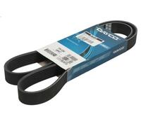 Correa trapecial poli V DAYCO 7PK1260 para NISSAN NAVARA NP300 (D40) 2.5 2005-