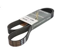 Correa trapecial poli V DAYCO 8PK1440HD para FM10 9.6 1999-2001