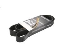 Correa trapecial poli V DAYCO 8PK1655HD para MAN TGA 10.518 2001-2008