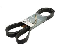Correa trapecial poli V DAYCO 8PK2622HD para ANTOS 12.809 2013-2018