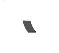 Correa trapecial poli V FEBI 29055 para IVECO EUROFIRE II 5.883 2000-2007