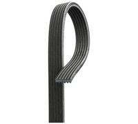 Correa Trapecial Poli V Gates 6DPK1195 Micro-v® para Audi Ford Seat Skoda VW