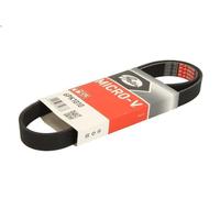 Correa trapecial poli V GATES 6PK1010 para KIA OPTIMA (JF) 2.4 2015-2019