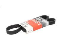 Correa trapecial poli V GATES 6PK1463 para MG ZR 2 2001-2005