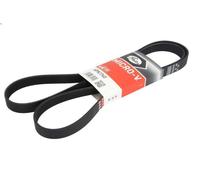 Correa trapecial poli V GATES 6PK1740 para PEUGEOT 406 (8B) 2 1999-2004