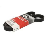 Correa trapecial poli V GATES 6PK1750 para PEUGEOT 406 (8B) 2 1999-2004