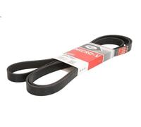 Correa trapecial poli V GATES 6PK2500 AUDI A5 (8T3) 3 2007-2012