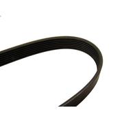 Correa trapecial poli V para BOSCH 1 987 946 091 para BMW 7 (E32) 3 1992-1994