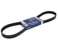 Correa trapecial poli V para BOSCH 1 987 946 154 para FIESTA VI Van 1.6 2008-