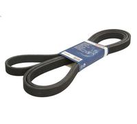 Correa trapecial poli V para BOSCH 1 987 946 212 para CAYENNE (9PA) 4.5 2002-