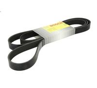 Correa trapecial poli V para BOSCH 1 987 946 284 para A8 D3 (4E2, 4E8) 4.2 2002-