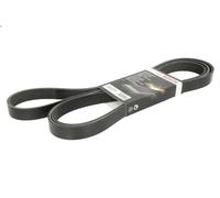 Correa trapecial poli V para BOSCH 1 987 946 285 DISCOVERY II (L318) 4 1998-2004