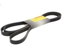Correa trapecial poli V para BOSCH 1 987 947 567 para CHEROKEE (KJ) 2.8 2002-