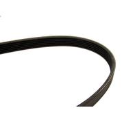 Correa trapecial poli V para BOSCH 1 987 947 885 para VOLGA 2.3 2007-2010
