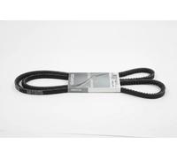 Correa trapezoidal 13A1700HD DAYCO para SCANIA 4 - series bus