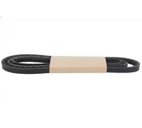 Correa poly V DAYCO 13A1980HD