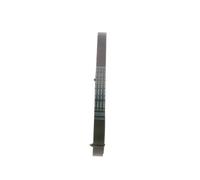 Bosch Correa Poly-V 1 987 945 984 – Trapezoidal nervada