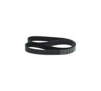 Correa trapezoidal acanalada 1 987 946 176 BOSCH