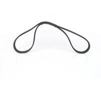 BOSCH 1 987 946 214 Correa trapecial poli V