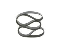 Bosch 8PK1955 - Correas en V estriadas - 1987947062