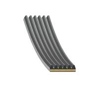 Correa trapezoidal acanalada 180922 FEBI BILSTEIN para MERCEDES-BENZ CLASE A