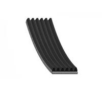 Correa trapezoidal acanalada 30 92 8956 SWAG para VW FORD SSANGYONG KIA PEUGEOT