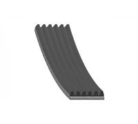 Correa trapezoidal acanalada 30 92 8972 SWAG para BMW VW AUDI SEAT SKODA MAN