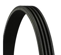Correa trapezoidal acanalada 4PK1560 CONTINENTAL CTAM para DAIHATSU TERIOS