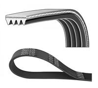 Dayco 4PK1560 Correa Trapecial Poli V