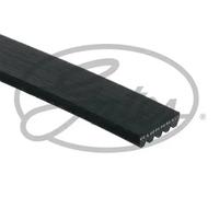 Correa trapezoidal acanalada 5PK1123 GATES para CITROËN PEUGEOT MITSUBISHI BMW