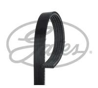 Correa trapezoidal acanalada 5PK1343 GATES para LANCIA MITSUBISHI VOLVO HYUNDAI
