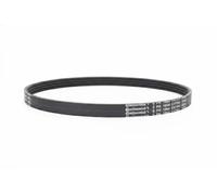 Correa trapezoidal acanalada 5PK1664 EXTRA CONTINENTAL CTAM para OPEL KARL