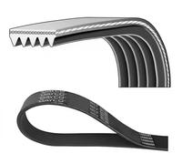 Correa trapezoidal acanalada 5PK2030S DAYCO para BMW 3 3 Touring 5 5 Touring