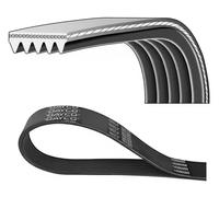 Correa trapezoidal acanalada 5PK938 DAYCO para ALFA ROMEO FIAT LANCIA NISSAN