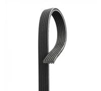Correa trapezoidal acanalada 6DPK1838 GATES para VOLVO S40 I V40 Station Wagon