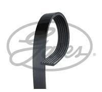 Correa trapezoidal acanalada 6PK1010 GATES para RENAULT PEUGEOT CITROËN HYUNDAI
