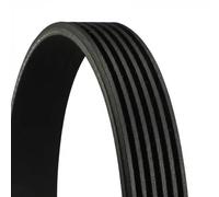 Correa trapezoidal acanalada 6PK1196 EXTRA CONTINENTAL CTAM para BMW 4 Coupé 5 3