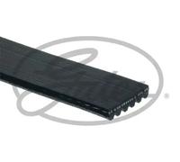 Correa trapezoidal acanalada 6PK1203 GATES para PEUGEOT CITROËN FORD LANCIA FIAT