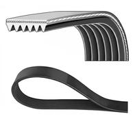 Correa trapezoidal acanalada 6PK1217S DAYCO para TOYOTA RENAULT CITROËN PEUGEOT