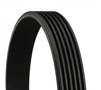 Correa trapezoidal acanalada 6PK1441 EXTRA CONTINENTAL CTAM para AUDI A8 D5 Q7