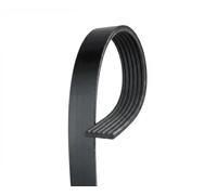 GATES 6PK1441EST Correa trapecial poli V