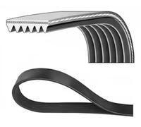 Correa trapezoidal acanalada 6PK2300 DAYCO para JAGUAR SAAB