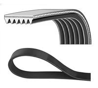 Correa poly V DAYCO 6PK853