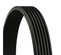 Correa trapezoidal acanalada 6PK970 CONTINENTAL CTAM para TOYOTA MAZDA FORD