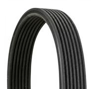Correa trapezoidal acanalada 7DPK1697 CONTINENTAL CTAM para BMW 5 5 Touring