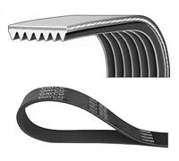 DAYCO Correa trapezoidal nervada para RENAULT: Scénic (Ref: 7PK1203K)
