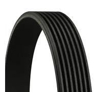 Correa trapezoidal acanalada 7PK1260 CONTINENTAL CTAM para NISSAN NAVARA NP300