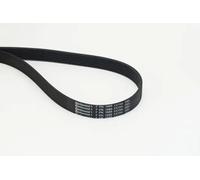 Correa trapezoidal acanalada 7PK1685 EXTRA CONTINENTAL CTAM para OPEL FIAT