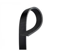 GATES 7PK1770 Correa trapecial poli V